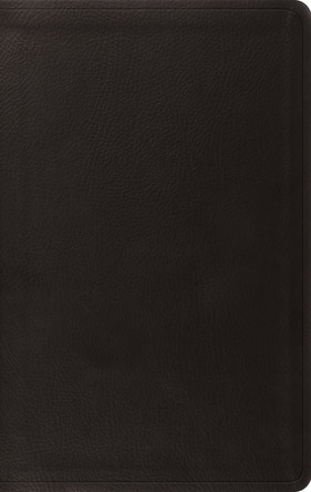 ESV Value Thinline Bible by  9781433550652
