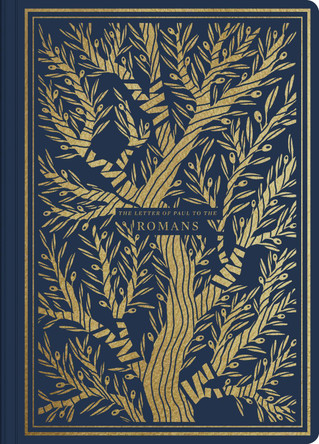 ESV Illuminated Scripture Journal: Romans by  9781433564819