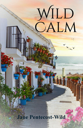 Wild Calm by Jane Pentecost-Wild 9781739295547