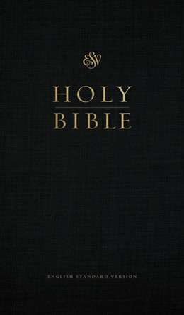 ESV Church Bible 9798874903398