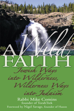 A Wild Faith: Jewish Ways into Wilderness, Wilderness Ways into Judaism by Rabbi Mike Comins 9781681629681