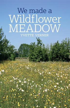 We Made a Wildflower Meadow by Yvette Verner 9780857845245