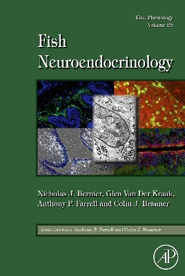 Fish Physiology: Fish Neuroendocrinology: Volume 28 by Nicholas J. Bernier 9780123746313