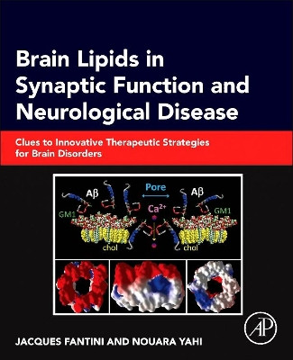 Brain Lipids in Synaptic Function and Neurological Disease: Clues to Innovative Therapeutic Strategies for Brain Disorders by Jacques Fantini 9780128001110