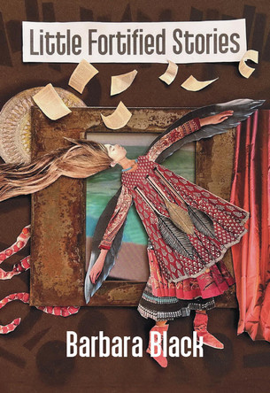 Little Fortified Stories by Barbara Black 9781773861401