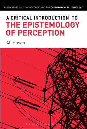 A Critical Introduction to the Epistemology of Perception by Ali Hasan 9781472526595
