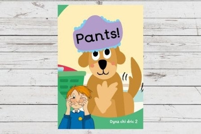 Dyna Chi Dric: Pants by Eirian Lloyd Jones 9781783904532