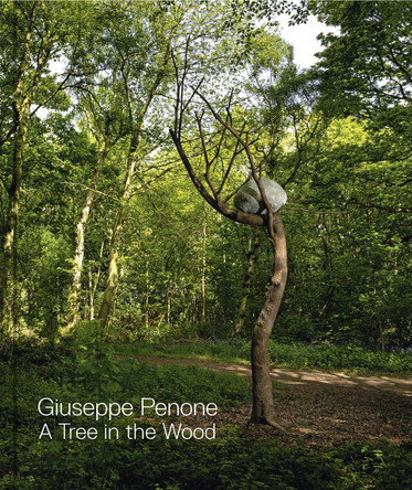 Giuseppe Penone: A Tree in the Wood by Martin Gayford 9781908432391