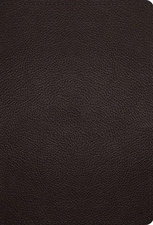 ESV Large Print Compact Bible by  9781433572012