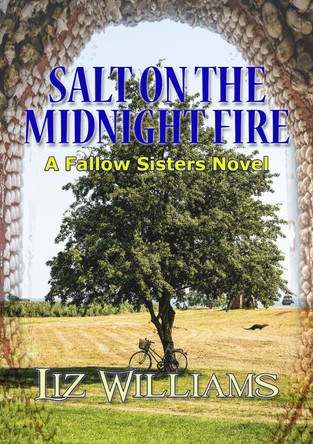 Salt on the Midnight Fire by Liz Williams 9781914953514