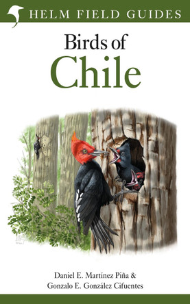 Field Guide to the Birds of Chile by Daniel E. Martinez Pina 9781472970008