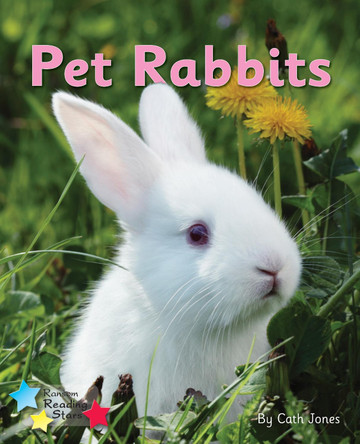 Pet Rabbits: Phonics Phase 3 by  9781785919077