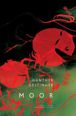 Moor by Gunther       Geltinger