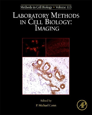 Laboratory Methods in Cell Biology: Imaging: Volume 113 by Saurabh Jha 9780124072398