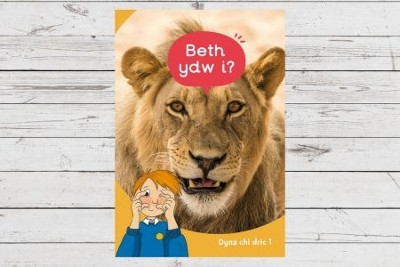 Dyna Chi Dric: Beth Ydw I? by Eirian Lloyd Jones 9781783904495