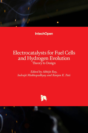 Electrocatalysts for Fuel Cells and Hydrogen Evolution: Theory to Design by Abhijit Ray 9781789848120