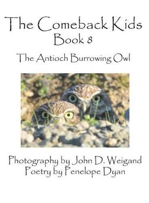 The Comeback Kids, Book 8, the Antioch Burrowing Owl by John D Weigand 9781614772095