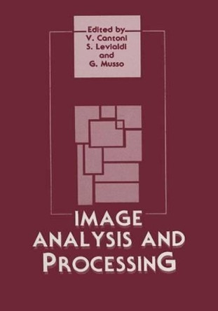 Image Analysis and Processing by Virginio Cantoni 9781461293125