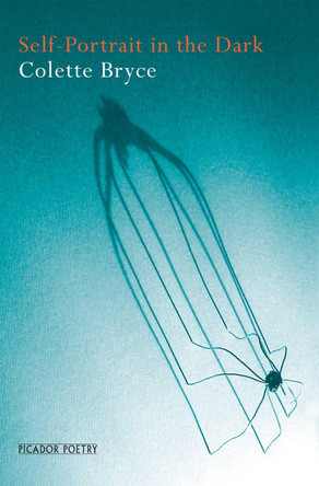 Self-Portrait in the Dark by Colette Bryce 9781509839087