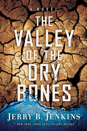 THE VALLEY OF DRY BONES: A Novel by Jerry B. Jenkins 9781617950087
