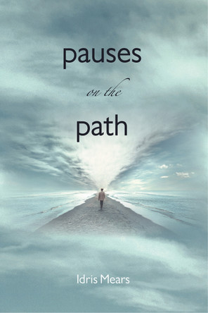 Pauses on the Path by Idris Mears 9781739827199