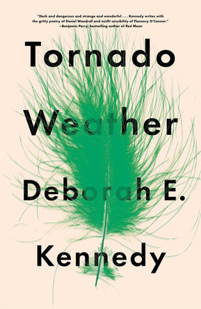 Tornado Weather by Deborah E. Kennedy 9781250134523