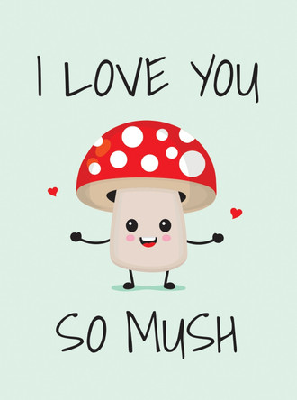 I Love You So Mush: Punderful Ways to Say "I Love You" by Summersdale Publishers 9781837994472