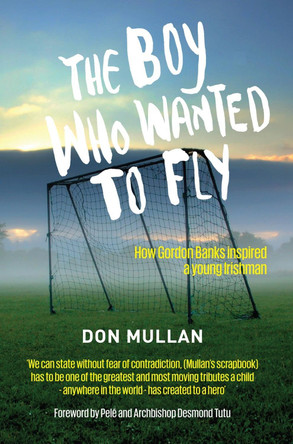 The Boy Who Wanted To Fly by Don Mullan 9781907756016