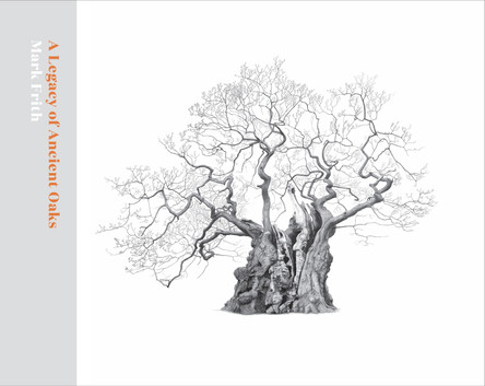 A Legacy of Ancient Oaks by Mark Frith 9781842466674
