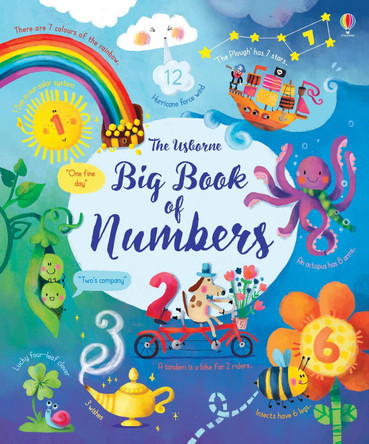 Big Book of Numbers by Felicity Brooks 9781474937191