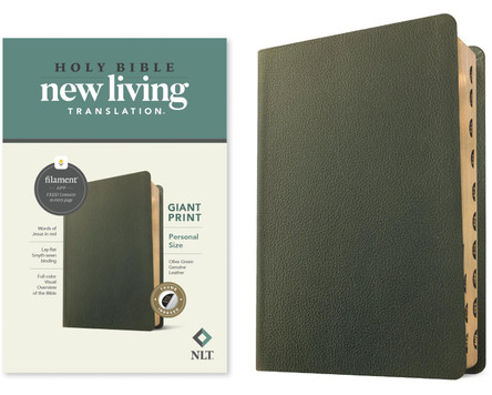 NLT Personal Size Giant Print Bible, Filament Edition 9781496474254