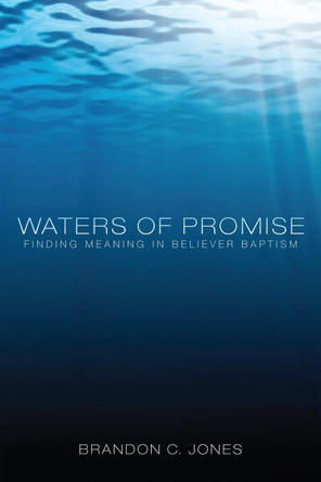 Waters of Promise by Brandon C Jones 9781498261432