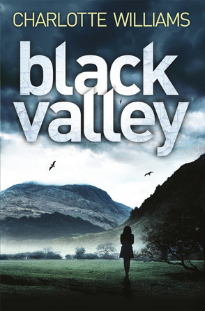 Black Valley by Charlotte Williams 9781509891603
