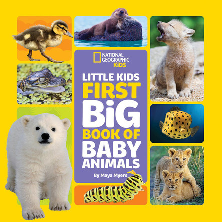 Little Kids First Big Book of Baby Animals (Little Kids First Big Books) by  9781426371462