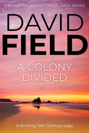 A Colony Divided by David Field 9781800553774