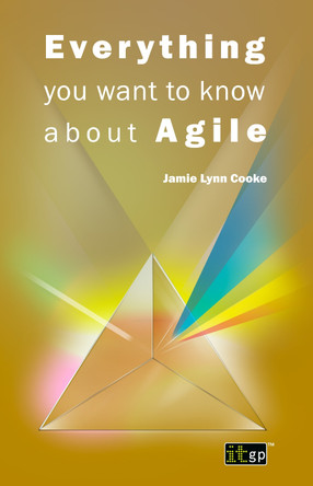 Everything You Want to Know About Agile by Jamie Lynn Cooke 9781849283236