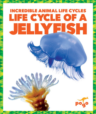 Life Cycle of a Jellyfish by Karen Kenney 9781624968129