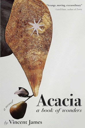 Acacia, a Book of Wonders: A Novel by Vincent James 9781680032987