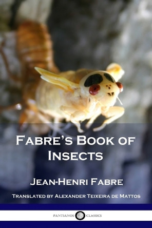 Fabre's Book of Insects by Jean Henri Fabre 9781789873405
