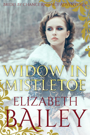 Widow in Mistletoe by Elizabeth Bailey 9781800551756