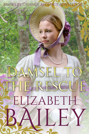 Damsel to the Rescue by Elizabeth Bailey 9781800551732