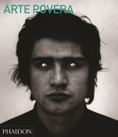 Arte Povera (Abridged Edition) by Carolyn Christov-Bakargiev 9780714868592