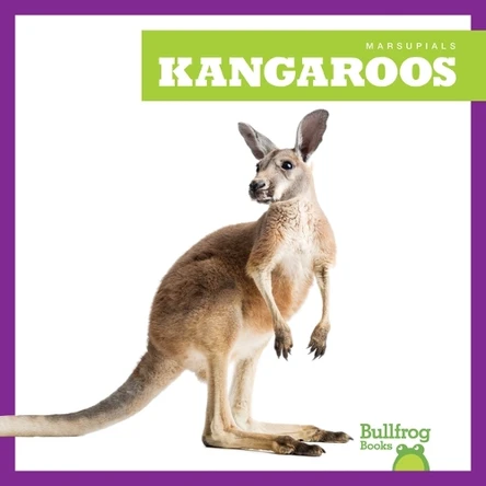 Kangaroos by Natalie Deniston 9798892135160