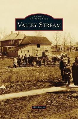 Valley Stream by Bill Florio 9781531673970