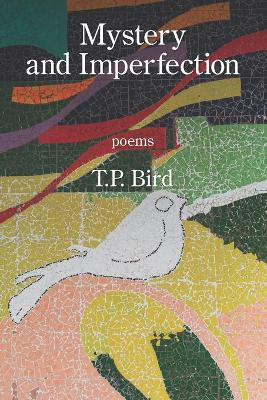 Mystery and Imperfection by T P Bird 9781639800278