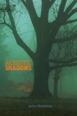 Acoustic Shadows by John Matthias 9781848616363