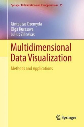 Multidimensional Data Visualization: Methods and Applications by Gintautas Dzemyda 9781489990006