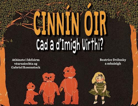Cinnín Óir by Beatrice Dvilnsky 9781739561048