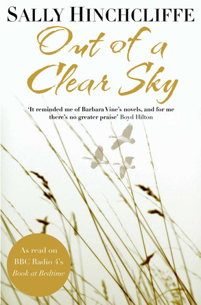 Out of a Clear Sky by Sally Hinchcliffe 9781447295396