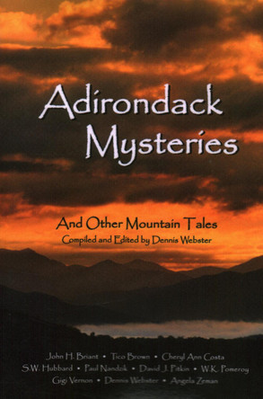 Adirondack Mysteries: And Other Mountain Tales by Dennis Webster 9781595310323
